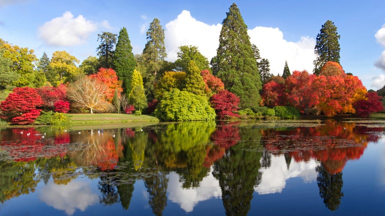 An autumnal view across a lake showing reflections